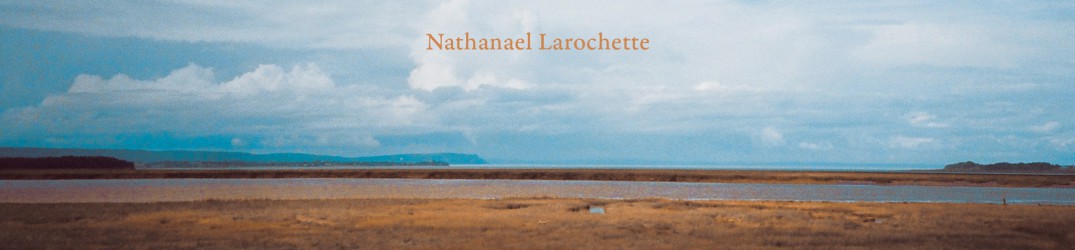 Nathanael Larochette: “Earth and Sky” interamente in streaming