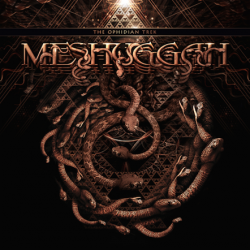 Meshuggah: tutti i dettagli di ‘The Ophidian Trek’